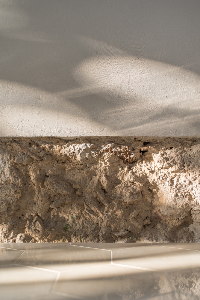 墨西哥 50 年代住宅的现代翻新-74