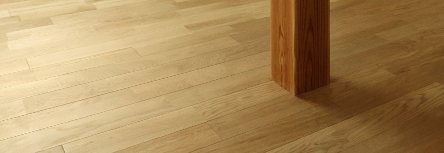 MH1202(大田区)住宅翻新项目丨日本东京丨一级建筑士事务所アトリエ橙(だいだい)-2