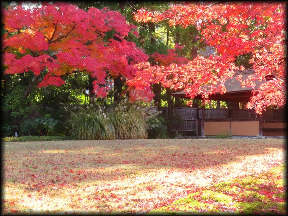对龙山庄庭园丨日本京都丨七代目小川治兵衛-33