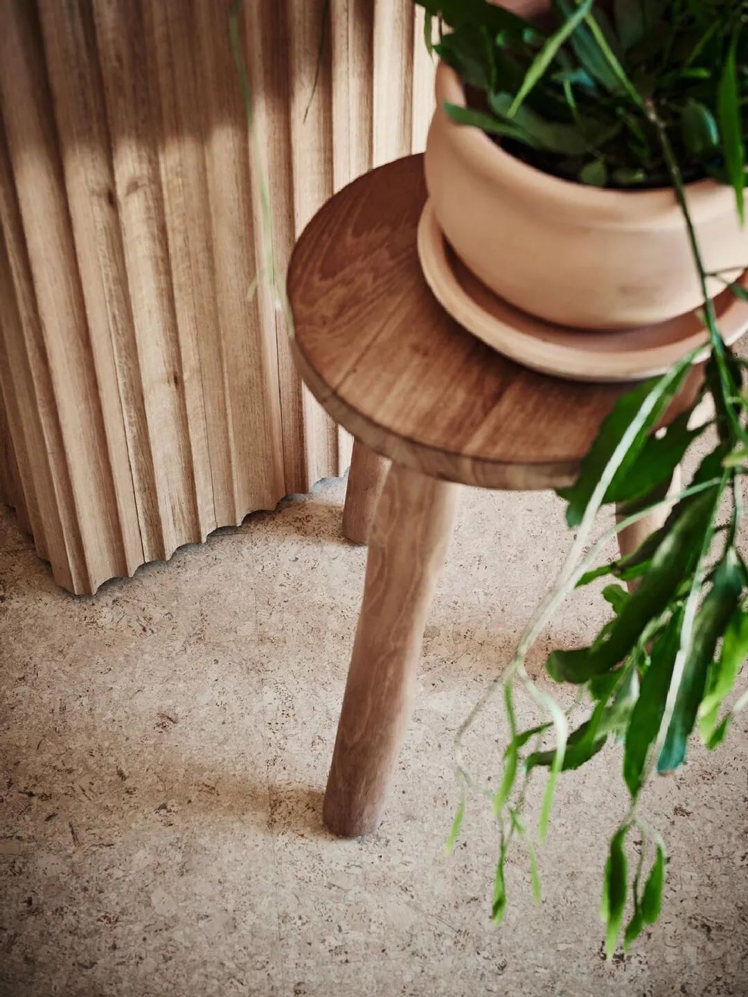 半岛温泉——快闪店丨澳大利亚丨Kim Kneipp-17