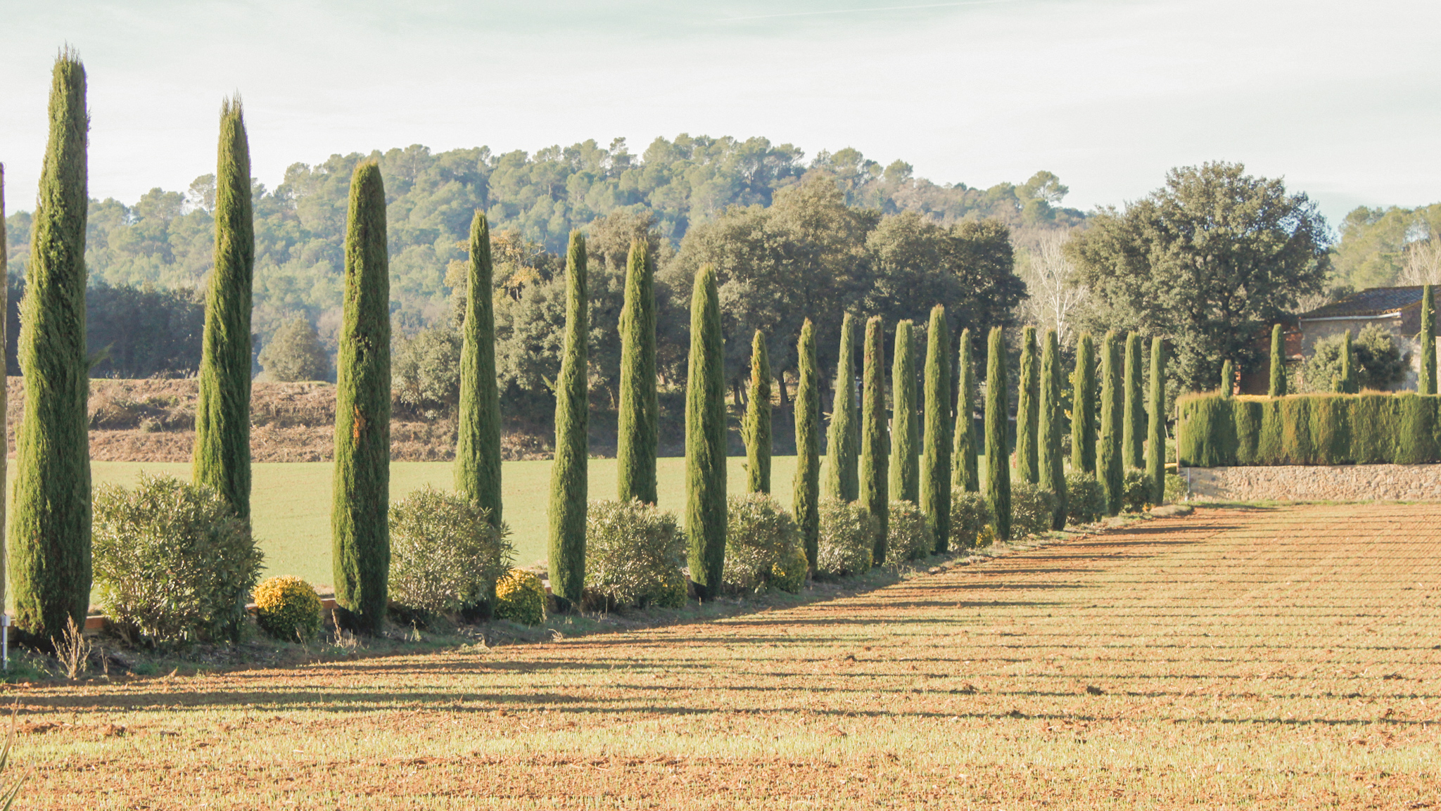 Dalí相关三处场所丨西班牙-51