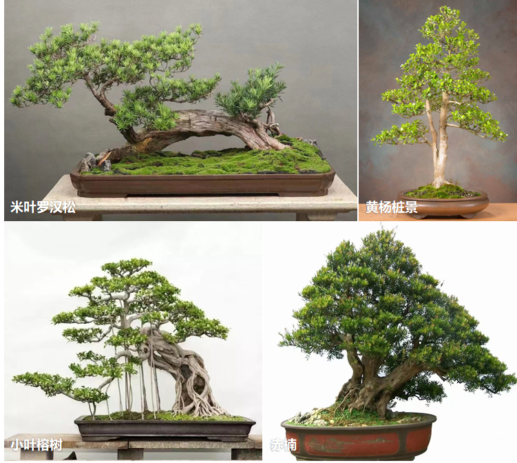 喜随作品|壶中胜境·商业中庭的科技国风微缩园林-252