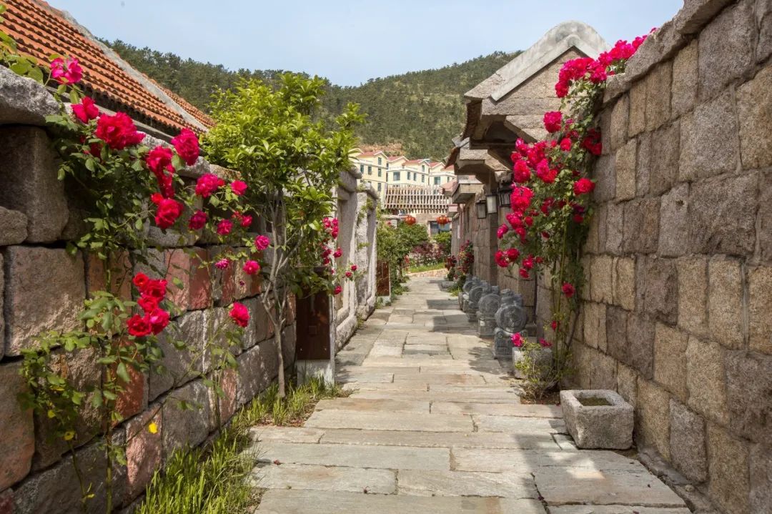 东麦窑社区美丽乡村建设工程丨中国青岛丨中建风景园林院-75