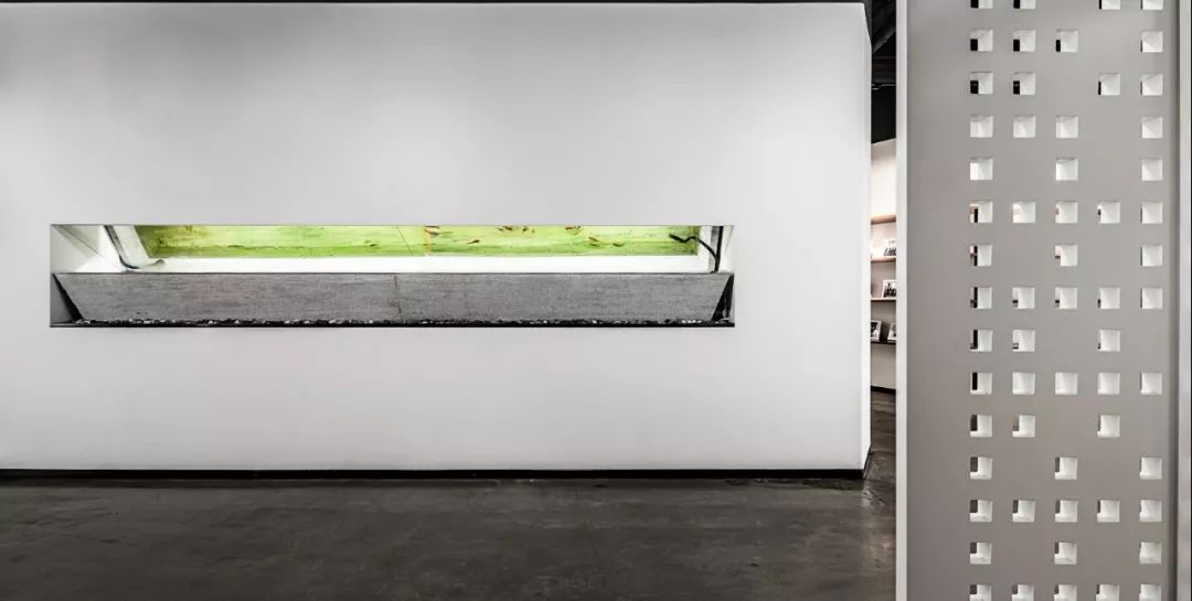 天津某生物制药公司总部办公空间设计丨中国天津丨manas design-34