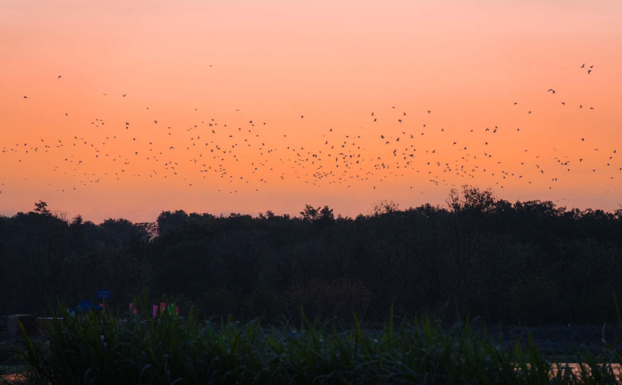 “鹭鸟天堂”中的隐奢大宅华润顺德澐璟丨中国佛山丨太璞建筑环境设计+道合设计-1