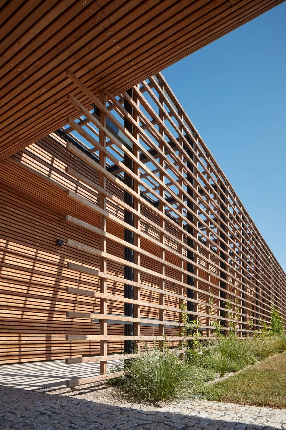 Kolby 酒庄丨捷克丨ORA（Original Regional Architecture）-48