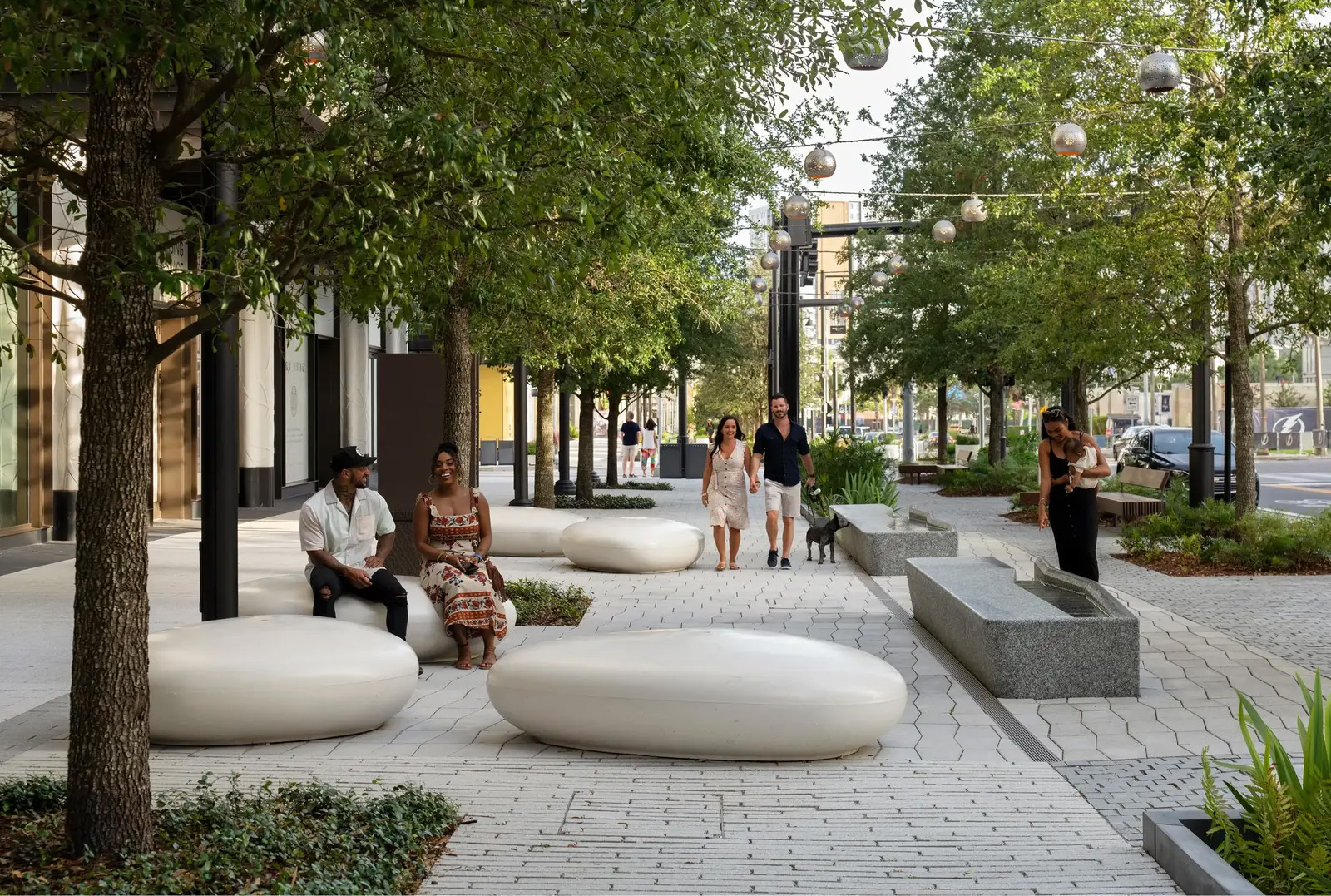 坦帕水街的连绵树冠丨美国丨Reed Hilderbrand-29