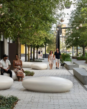 坦帕水街的连绵树冠丨美国丨Reed Hilderbrand