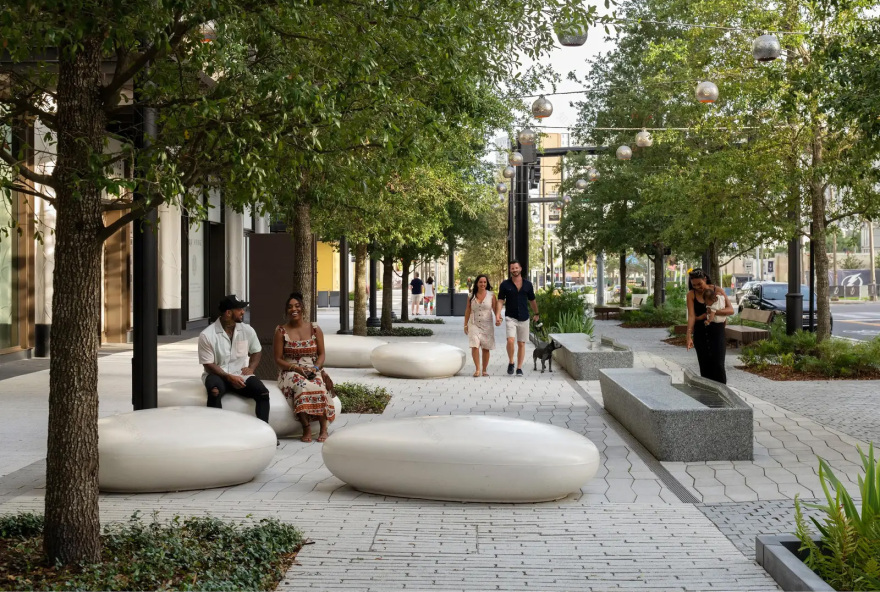 坦帕水街的连绵树冠丨美国丨Reed Hilderbrand-29