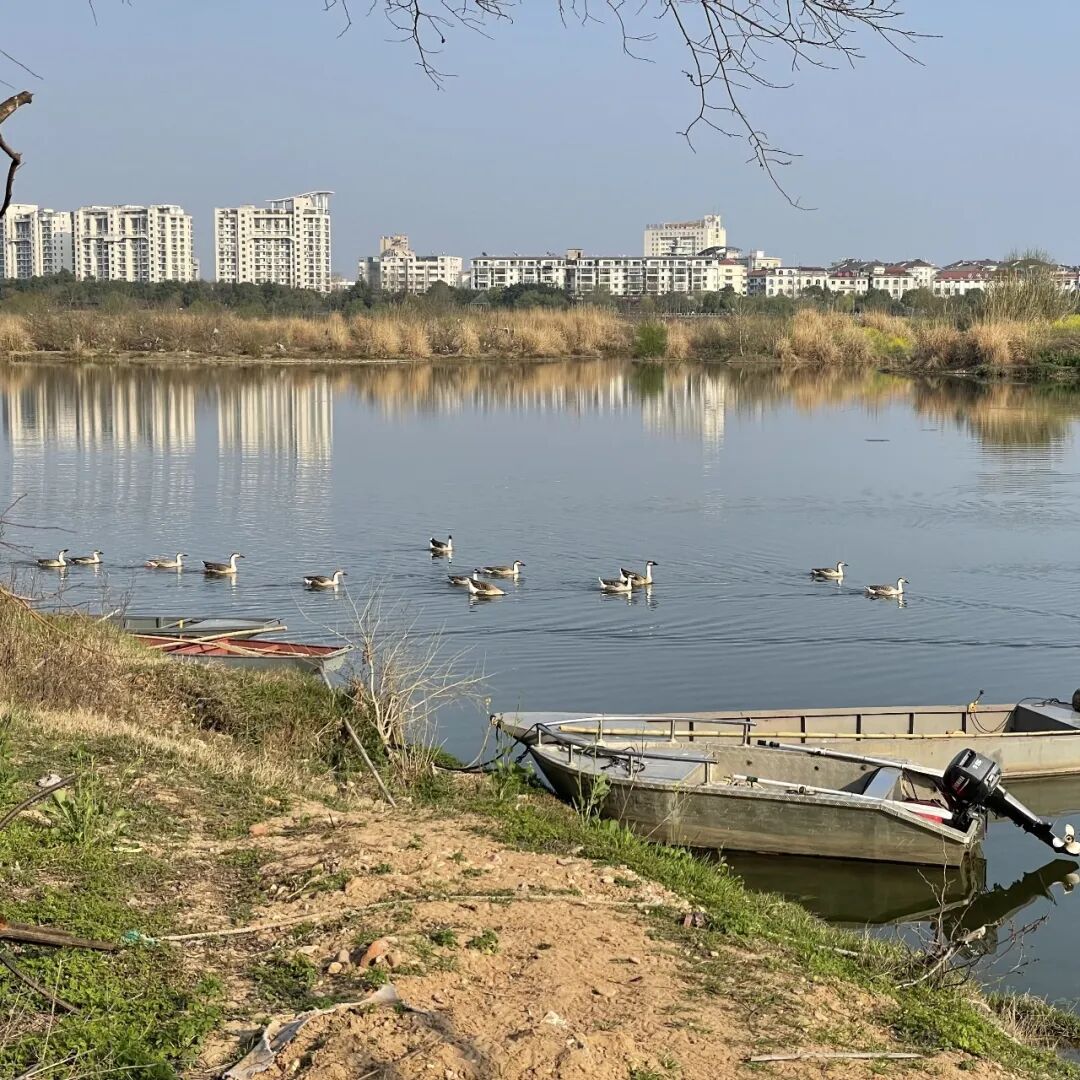 湿地洞窟配套驿站丨中国衢州丨Studio 10-8