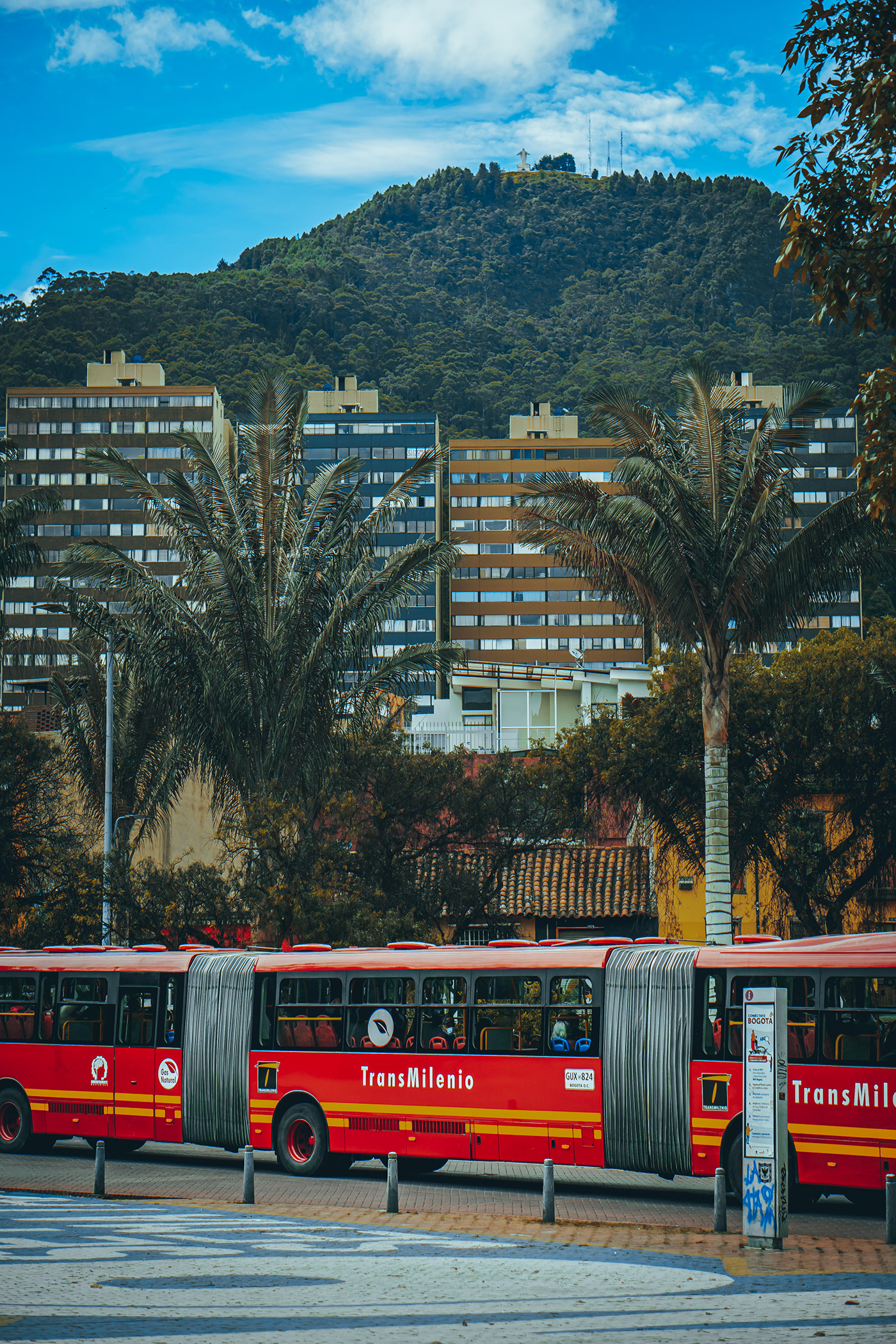 哥伦比亚波哥大“环境轴”街头景观设计-4