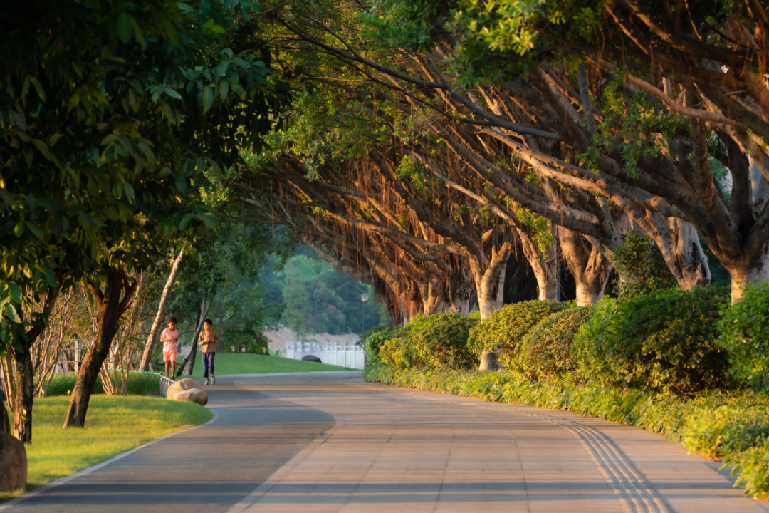 广州华润·金沙瑞府丨中国广州丨深圳沃亚景观规划设计有限公司-91