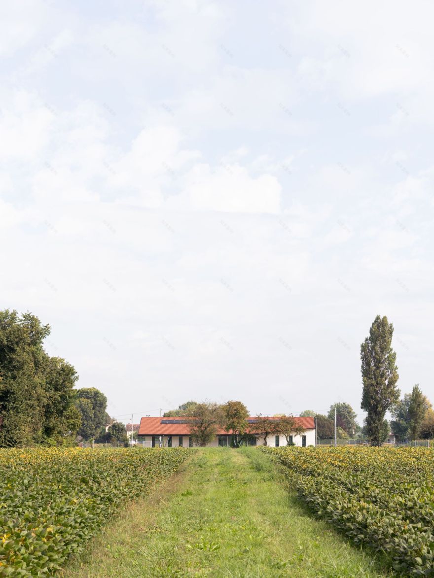 丨意大利丨Marco Turcato-8