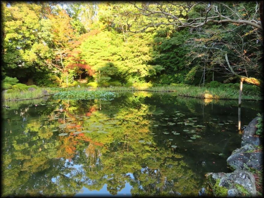 平安神宮神苑丨日本京都丨七代目小川治兵衛-44