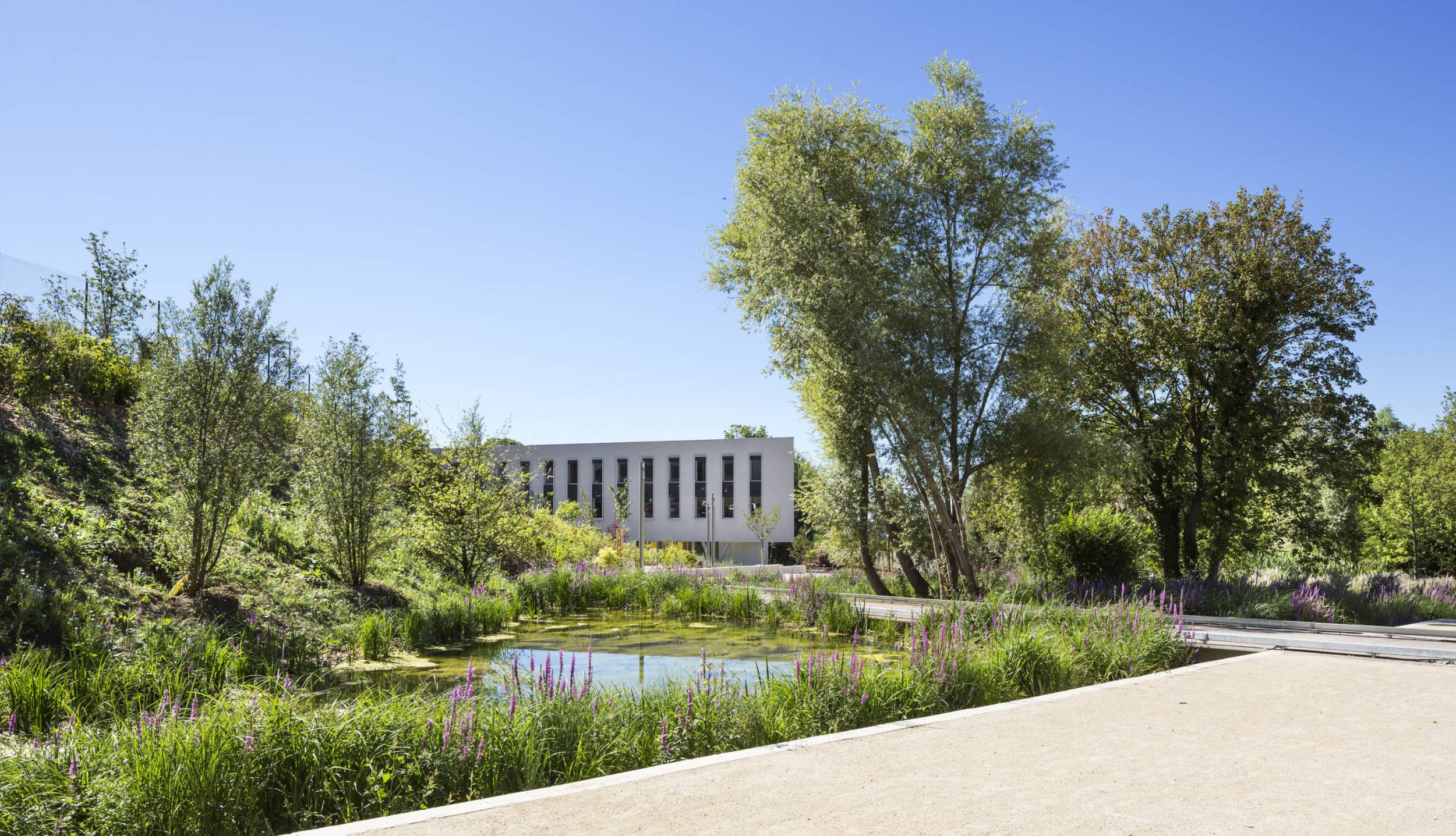 巴黎东部国际高中及寄宿学校丨法国巴黎丨Ateliers 2,3,4,等多个团队-60