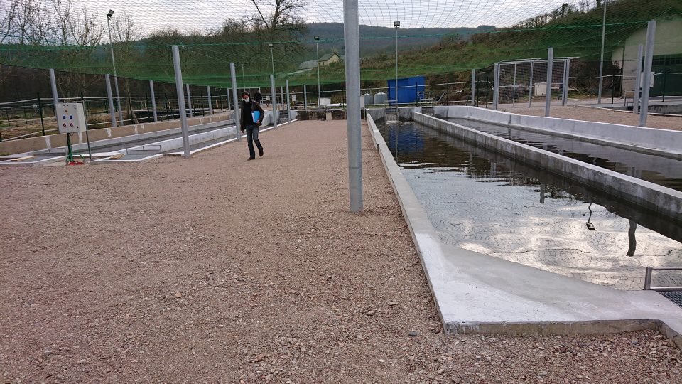 Vermenou·渔业养殖设施改造及教学渔业养殖康复项目丨Studio LOSA architectes-4