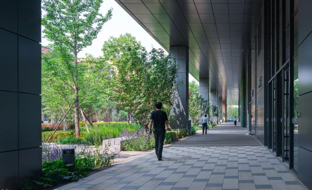 医药花园 | 华润生命科学园 景观设计-10