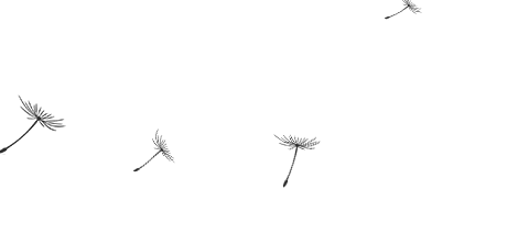中山鸿瑞壹品样板间-38