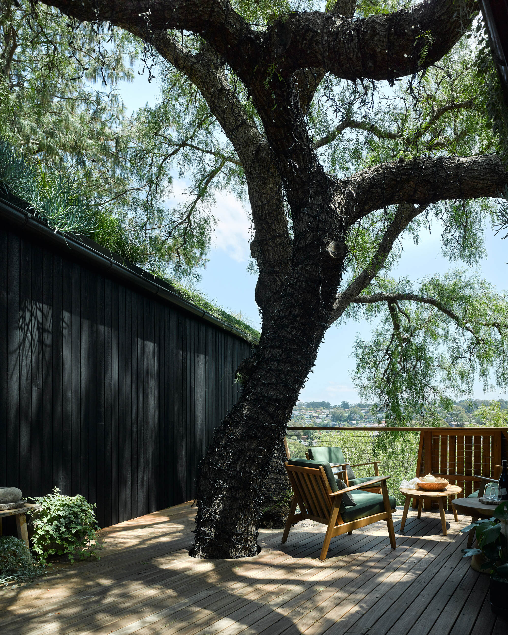 胡椒树被动式房屋丨澳大利亚丨Alexander Symes Architect-29