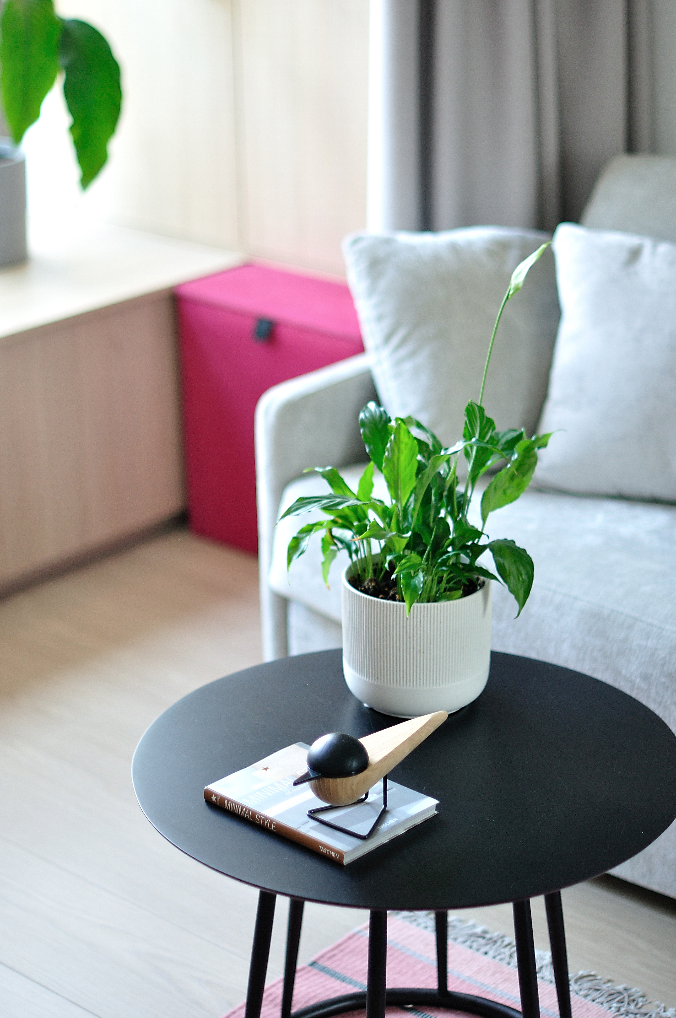 波兰红粉之家设计丨Poland-31