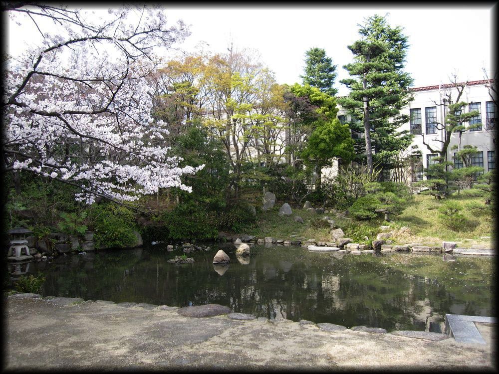 関西学院大学の日本庭園-30