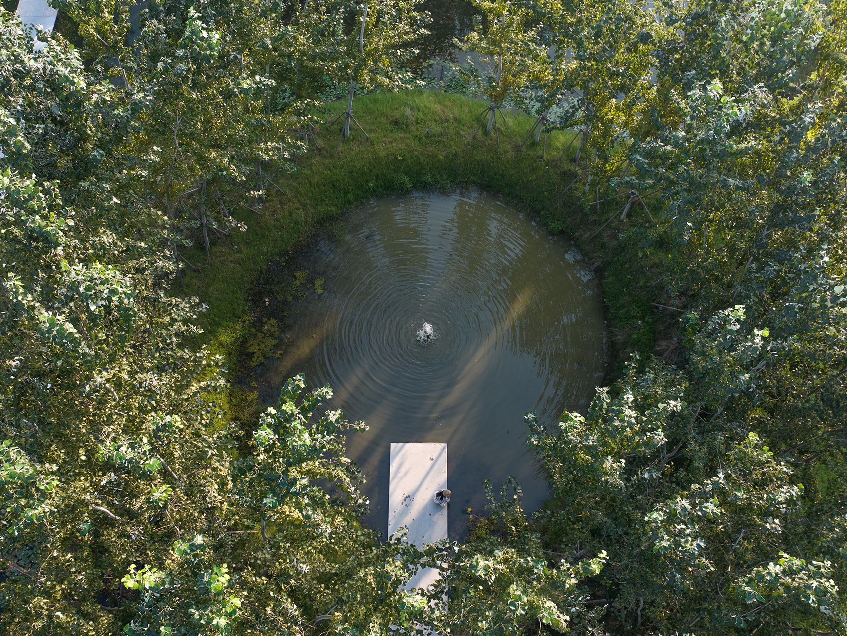 周口淮阳伏羲文化公园丨中国周口丨土人设计-23