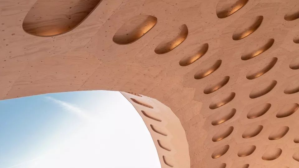 仿生木质展亭 BUGA | 数字化创新设计之典范-73