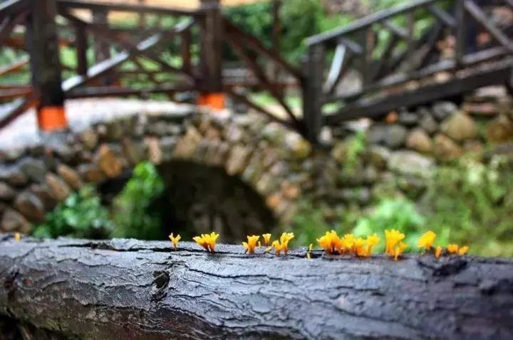 野宿丨逃离城市的世外桃源-28