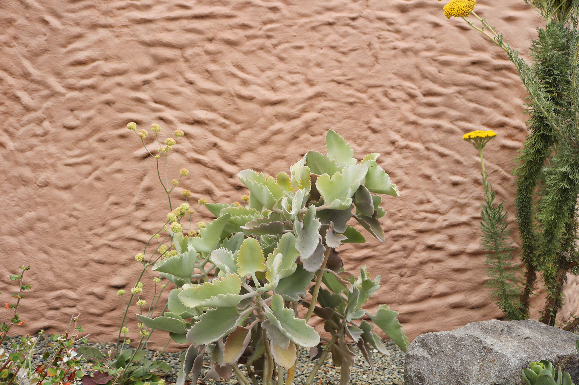 身边风景 | Soft Studio-104