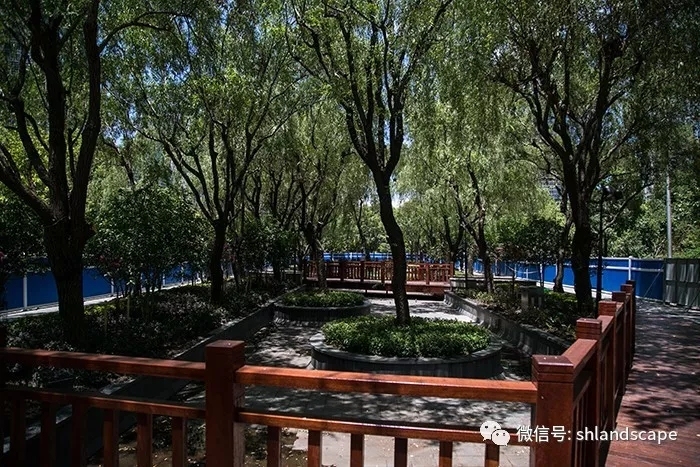 上海浦东世纪大道改造提升工程-30