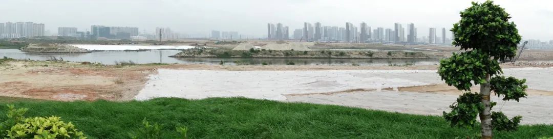 前海合作区相关建设项目（涉及多个项目）丨中国深圳丨奥雅纳（英国,中国香港,深圳团队）-57