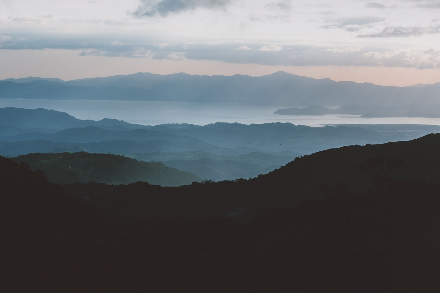 Cayuga Collection 绿色之旅丨哥斯达黎加丨Giulia Woergartner-9