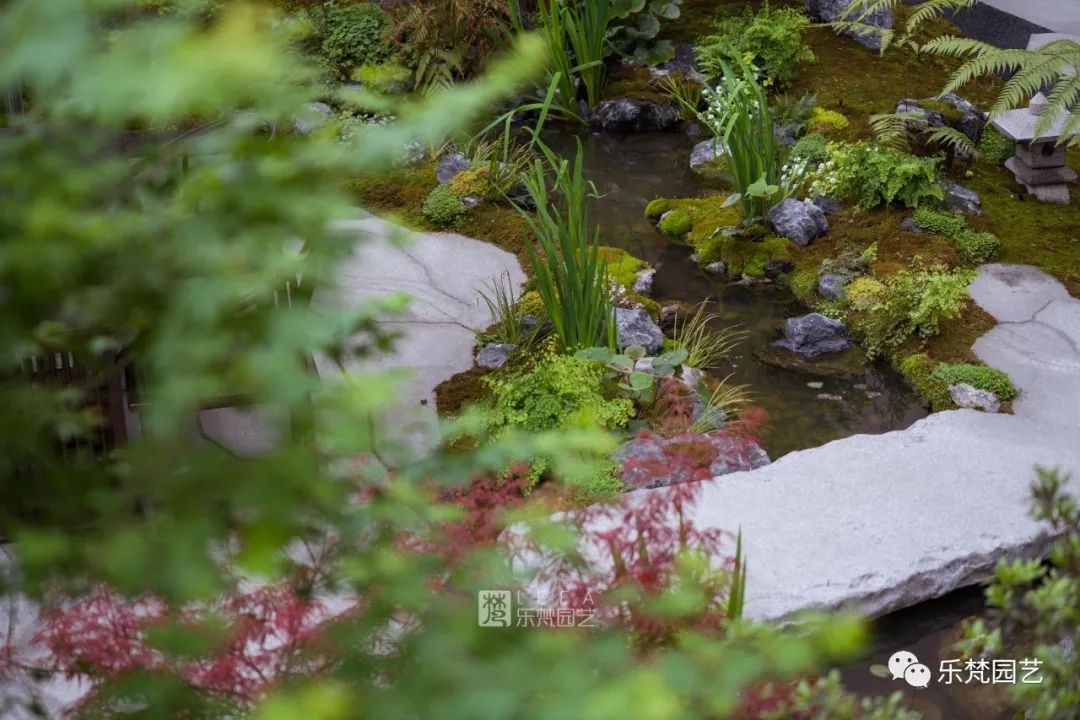 涵麓渡W会所花园丨中国成都丨成都乐梵缔境园艺有限公司-53