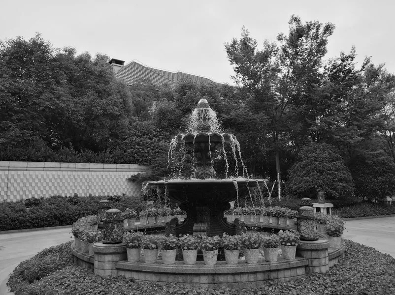   张唐景观丨上海大华马杰克双语幼儿园  景观设计 丨中国上海-27