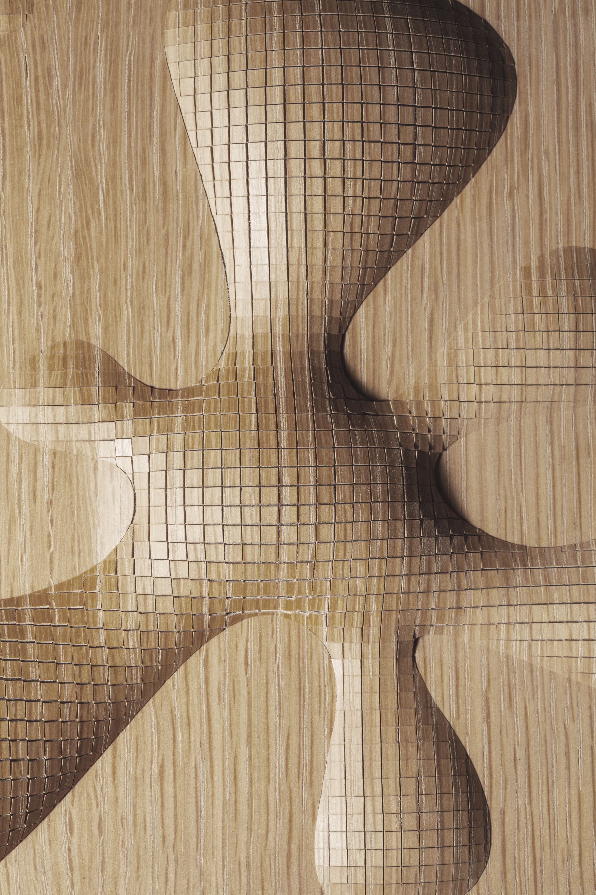 革新木材技术 | AIRWOOD©,可充气木制品的创举-2