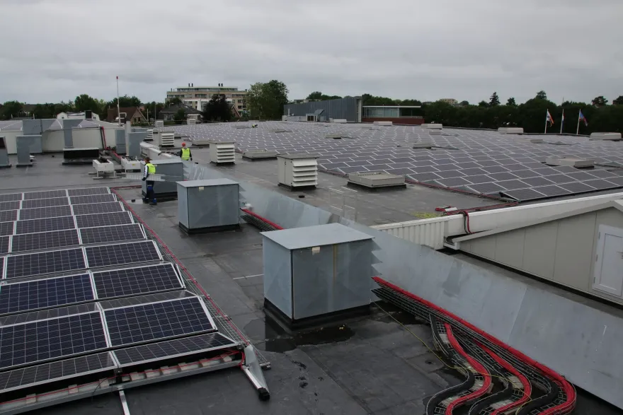 Royal De Ree Holland-18