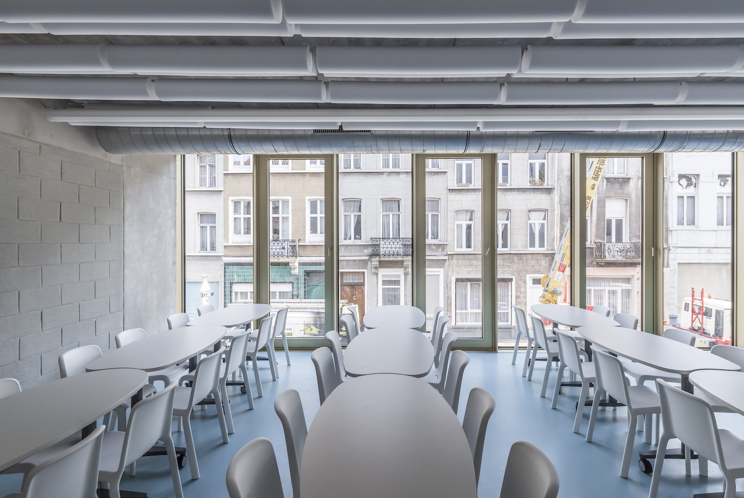 比利时秃头学校-20