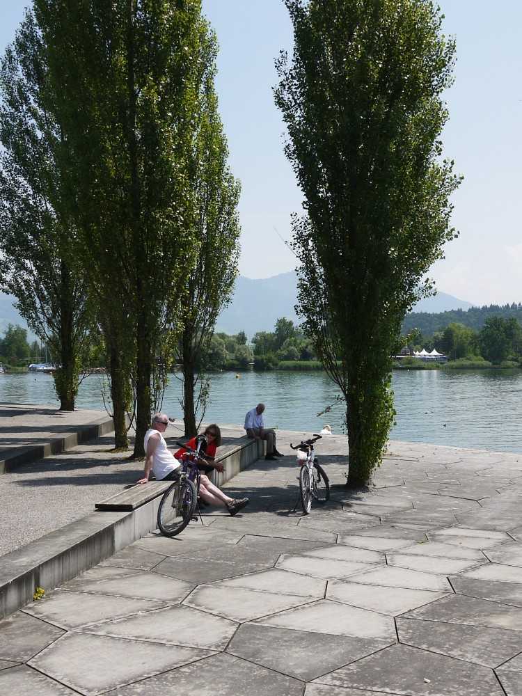 瑞士 Schmeriker 海湾滨水景观改造项目-6