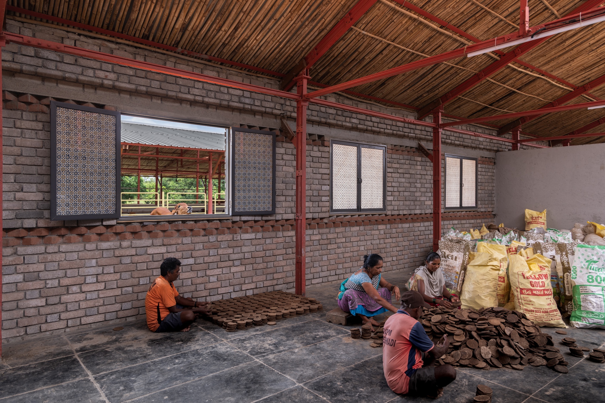 高哈尔畜牧业丨印度丨Compartment S4-35