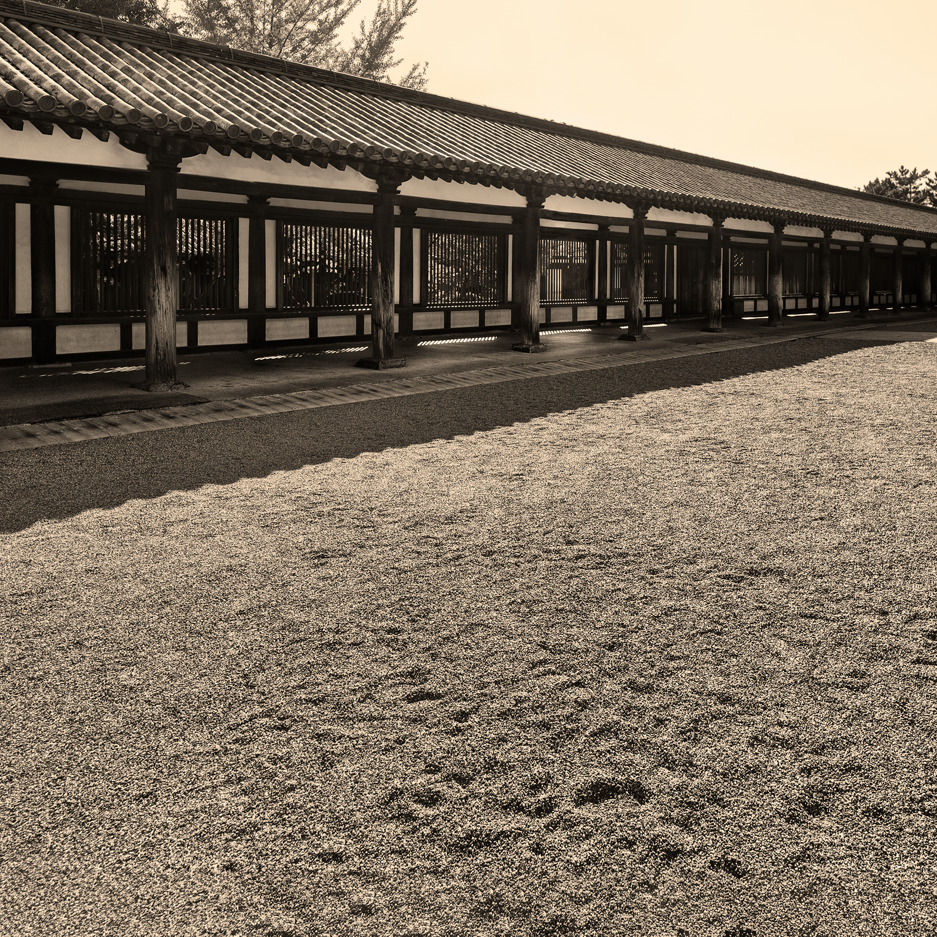 HORYUJI,最古老的木制建筑丨日本奈良丨HashiLaboratory-6