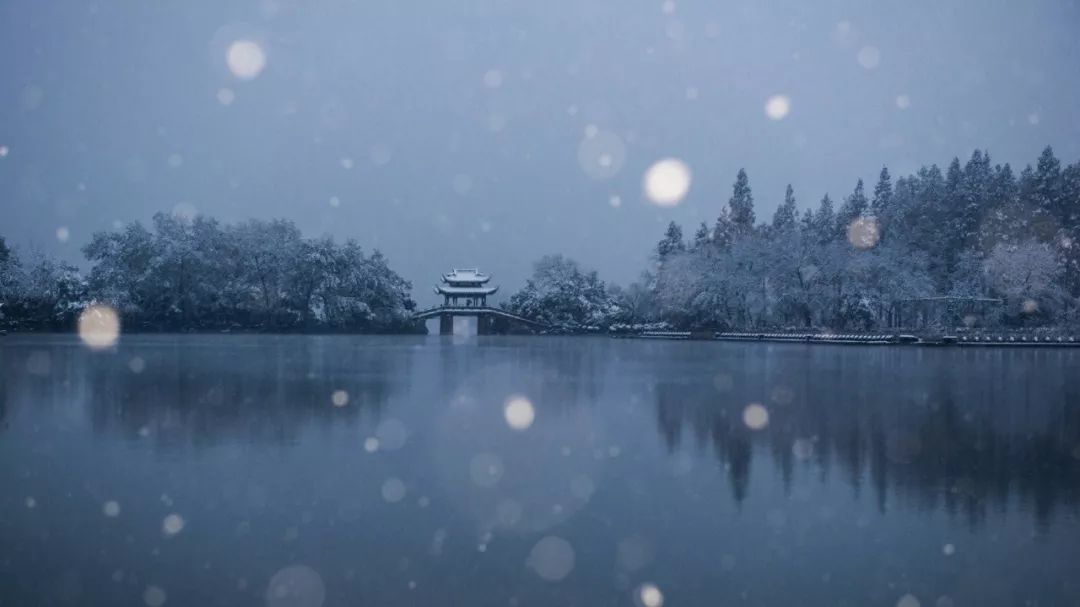 雪竹煮茶 | 冬日里的生活艺术-45