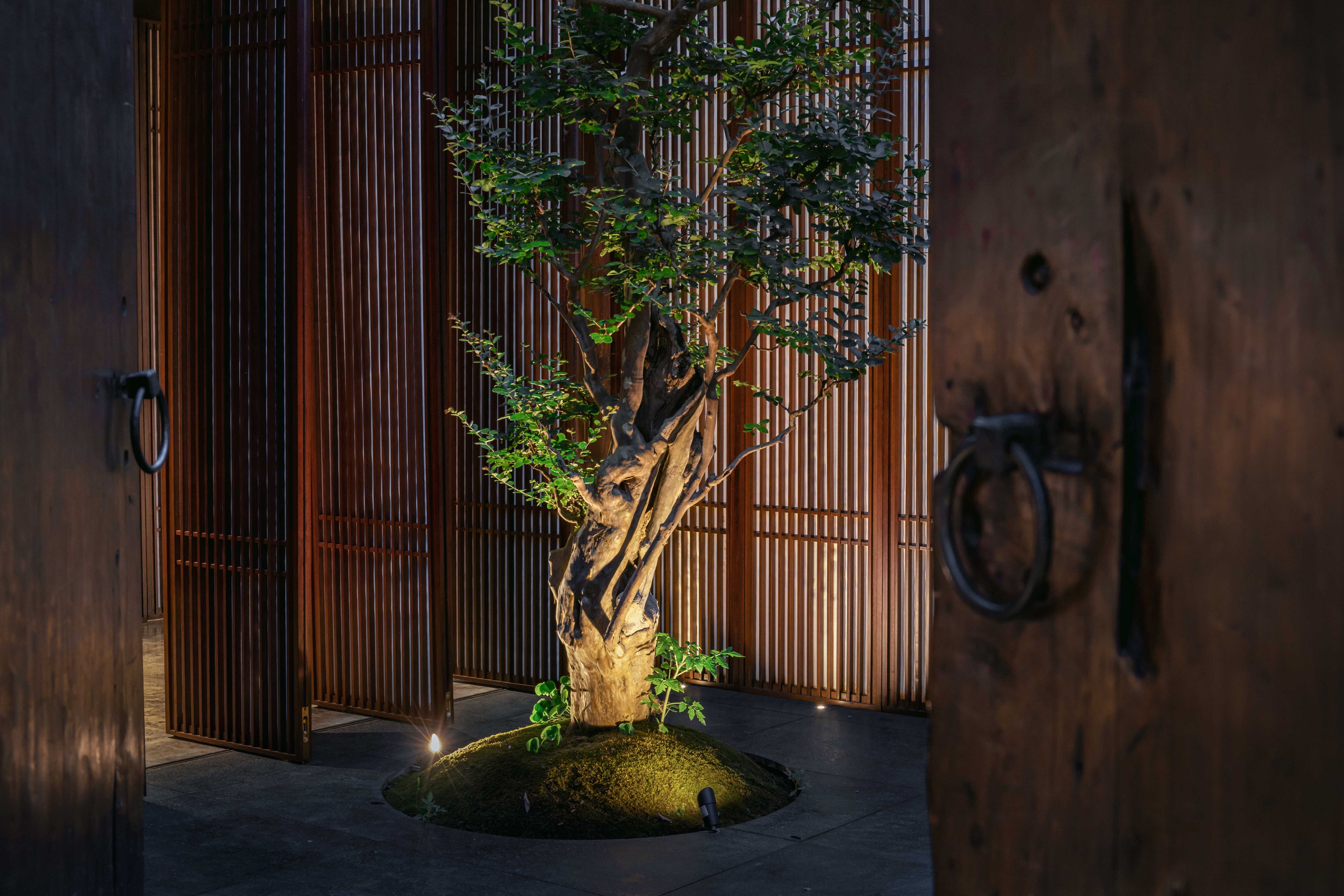 JU LU HOT POT · 寄炉火锅丨中国成都丨Nature design studio（成都内向室内設計）-15