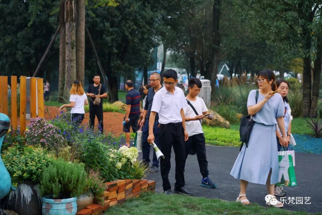 乐梵园艺打造成都花木博览会快闪花园，惊艳全场-69