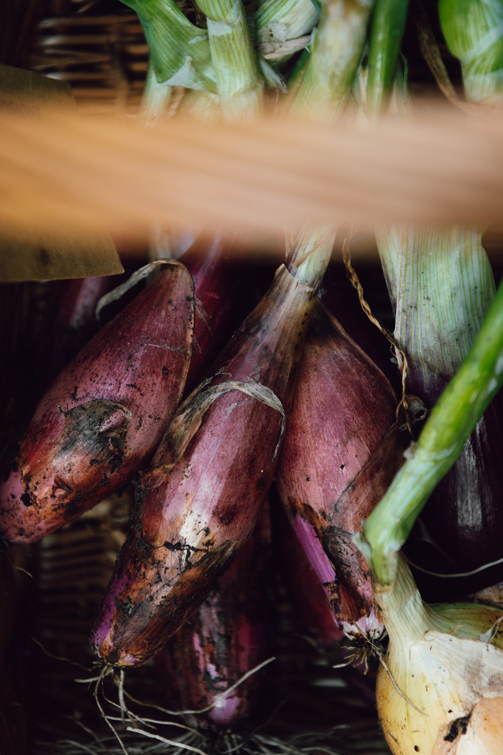 美食与空间抽象之美的完美结合-23