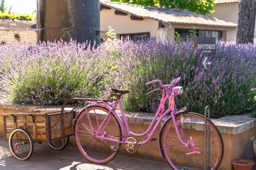 The Luberon Lavender Museum - France-11