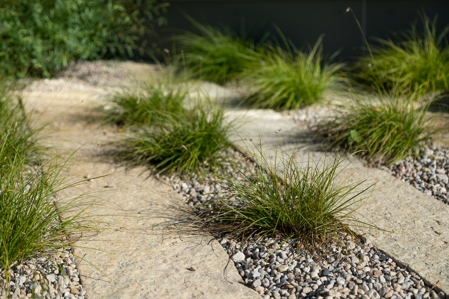 温尼伯圣约翰图书馆修复 | 百年历史的 Carnegie 图书馆重焕新生-37