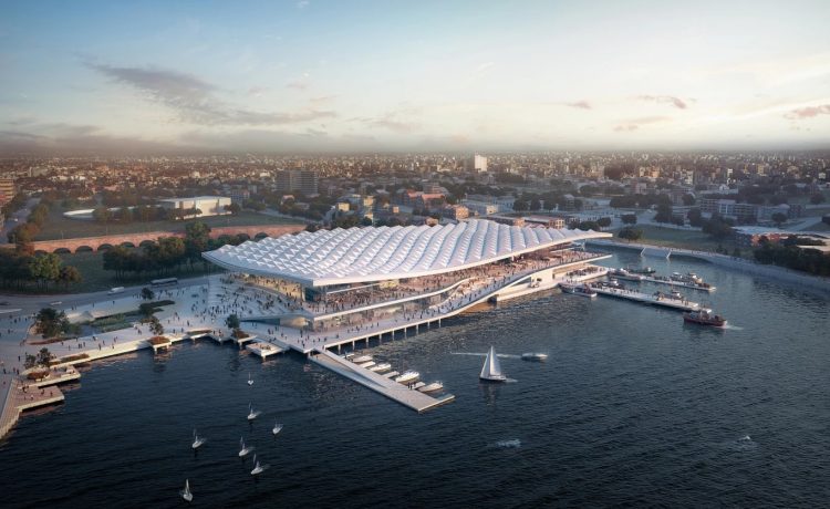 悉尼新鱼市场丨澳大利亚悉尼-2