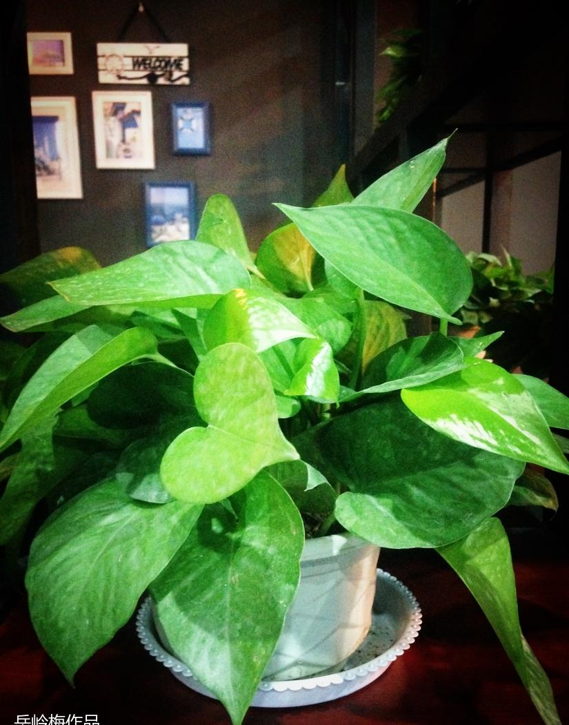 "八鲜过海"复古风室内设计,打造美食与回忆的温馨空间-13