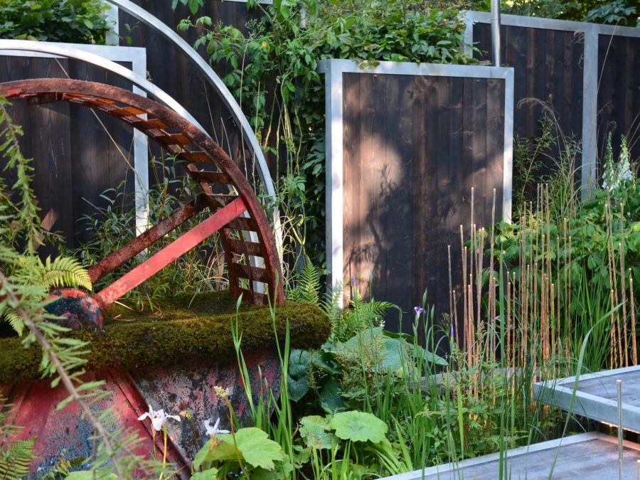 Eau de bonheur - Didier Danet - Entreprise Paysagiste-42