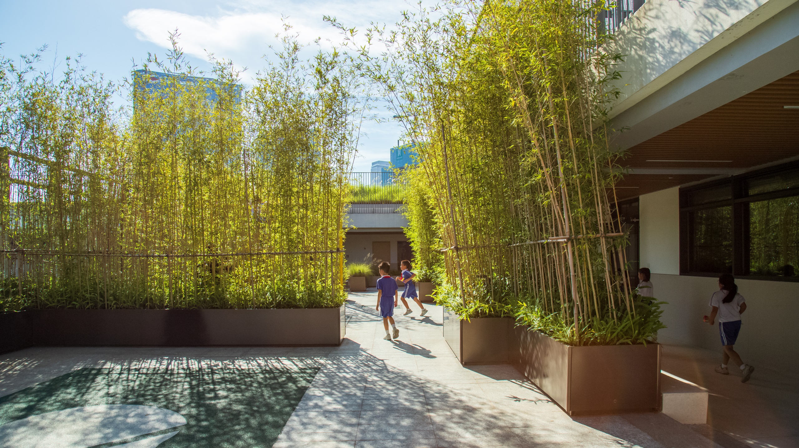 深圳市宝安中学(集团)海天学校丨中国深圳丨HILL 希尔景观-114